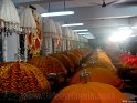 thrissur-pooram-2010 (45)